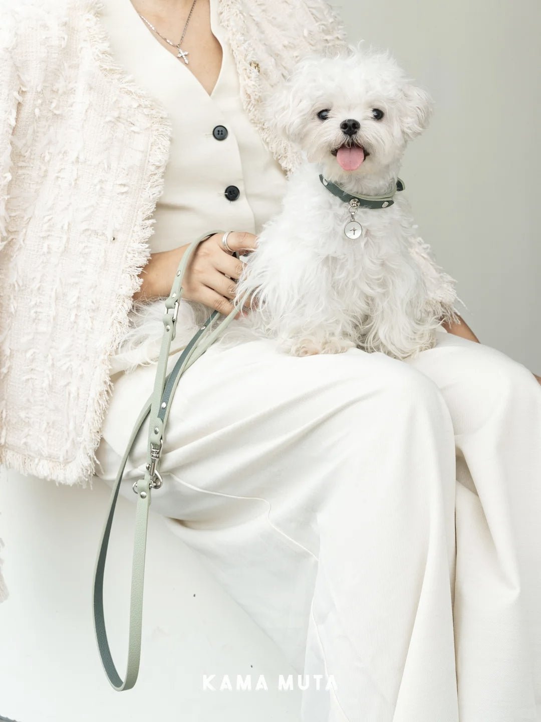 Pet leash Guide: Find the Best Leash for Your Dog
