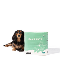 Scented Dog Pee Pads