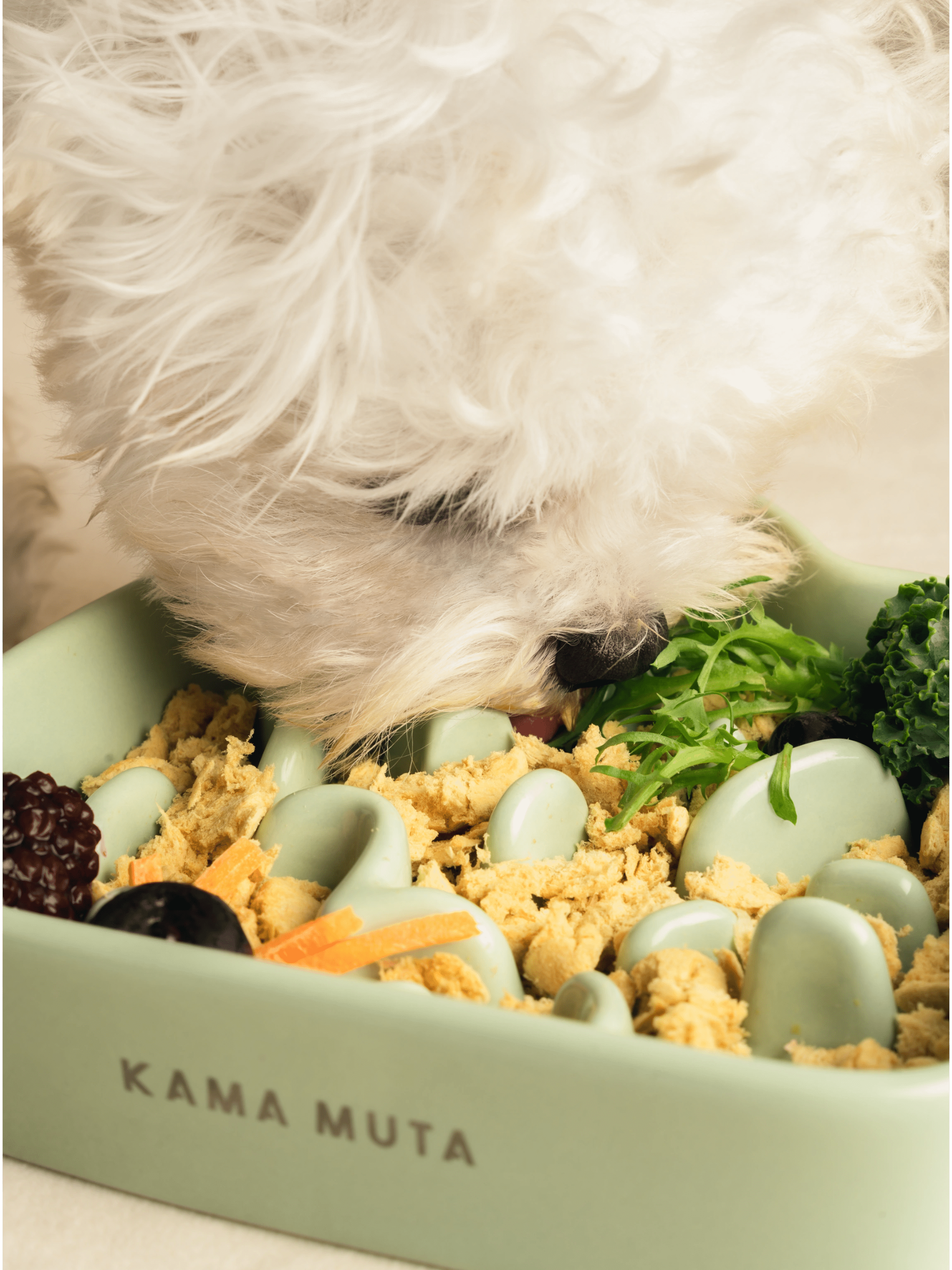 close-up-dog-eating-food-from-kamamuta-mountain-slow-feeder-bowl close-up-dog-eating-food-from-kamamuta-mountain-slow-feeder-bowl