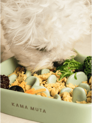 close-up-dog-eating-food-from-kamamuta-mountain-slow-feeder-bowl