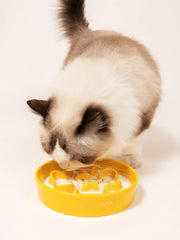 ragdoll-cat-eating-food-from-yellow-kamamuta-bone-slow-feeder-bowl