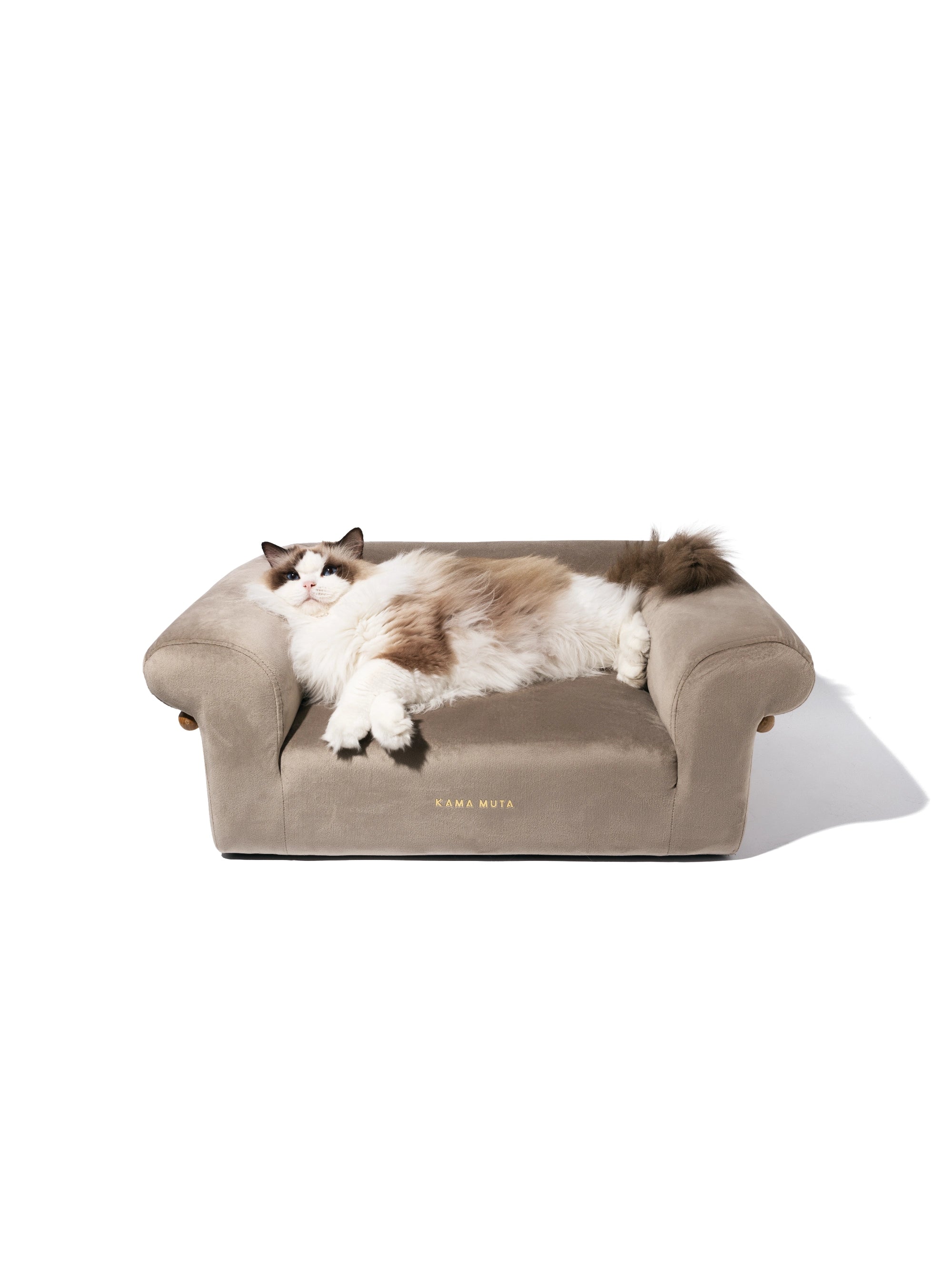 ragdoll-cat-relaxing-on-kamamuta-bread-sofa-bed-mid-shot-on-white-background ragdoll-cat-relaxing-on-kamamuta-bread-sofa-bed-mid-shot-on-white-background