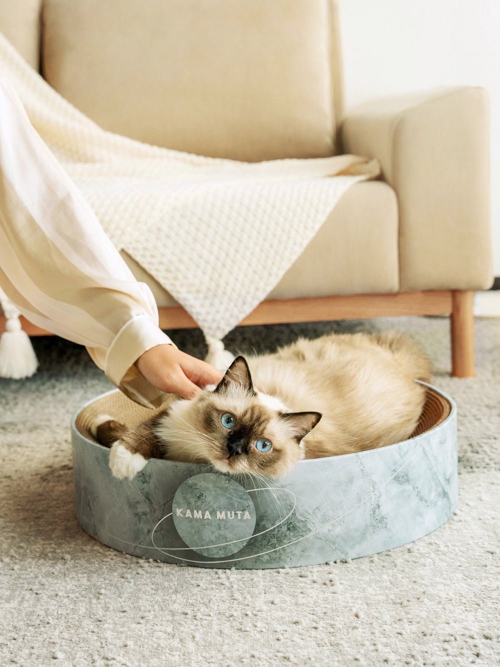 hand-petting-ragdoll-cat-lying-in-kamamuta-cat-scratcher-bed
