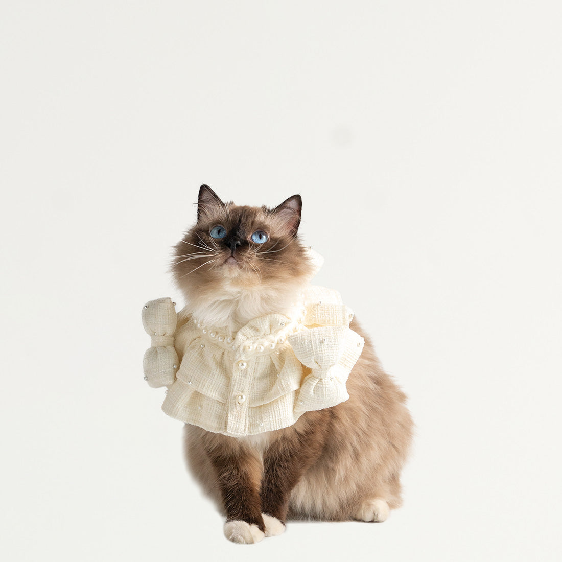 Designer Handmade Puppy Scarf Pet Bandana Kamamuta Designer Handmade Puppy Scarf Pet Bandana Kamamuta