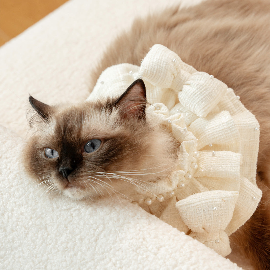 Designer Handmade Puppy Scarf Pet Bandana Kamamuta Designer Handmade Puppy Scarf Pet Bandana Kamamuta