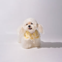 Designer Handmade Puppy Scarf Pet Bandana Kamamuta