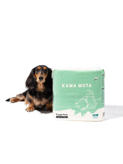Scented Dog Pee Pads