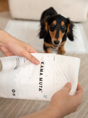 Dog Pee Pads Training Sample Trial Signature Scents