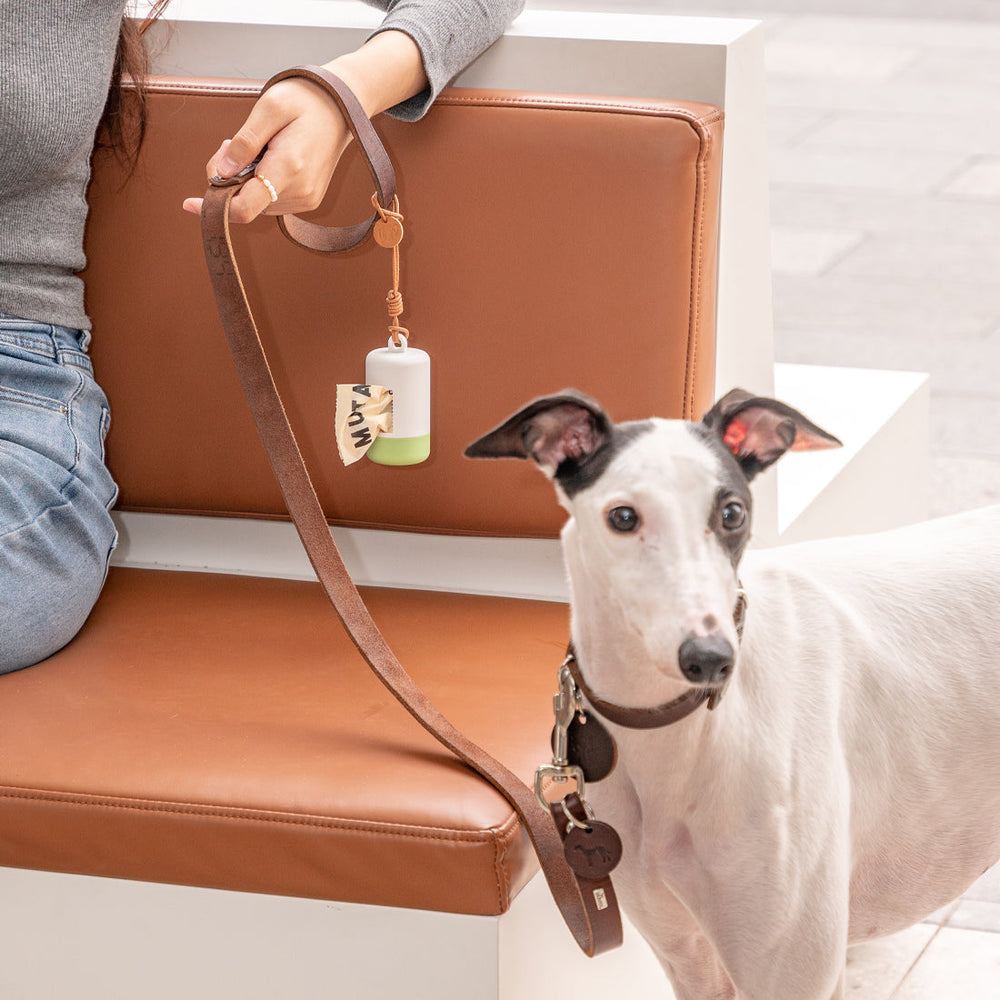 Durable Dog Poop Bag Holder-Daily Walk Kamamuta