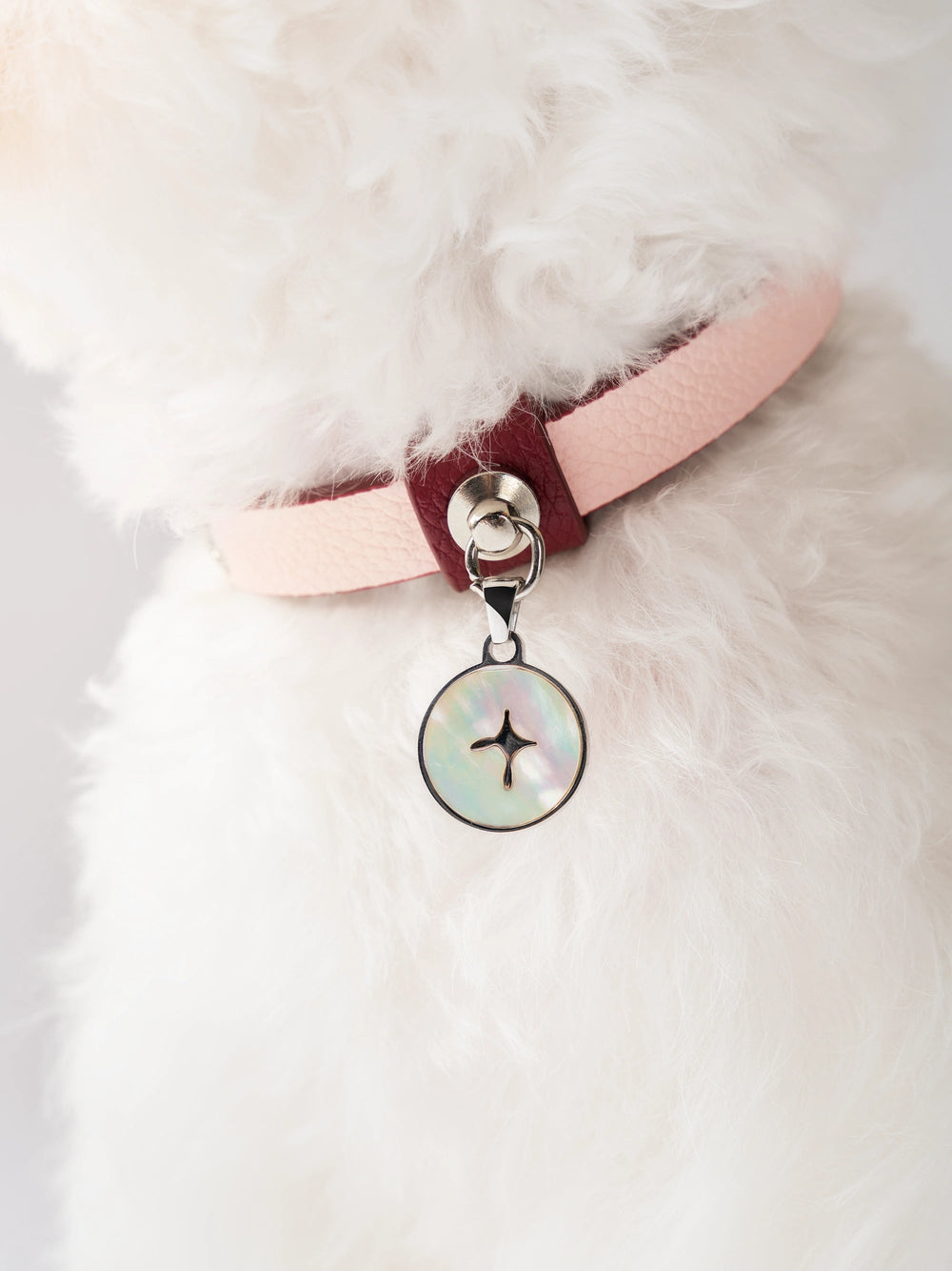 close-up-of-ulan-pink-kamamuta-dog-collar-on-dogs-neck