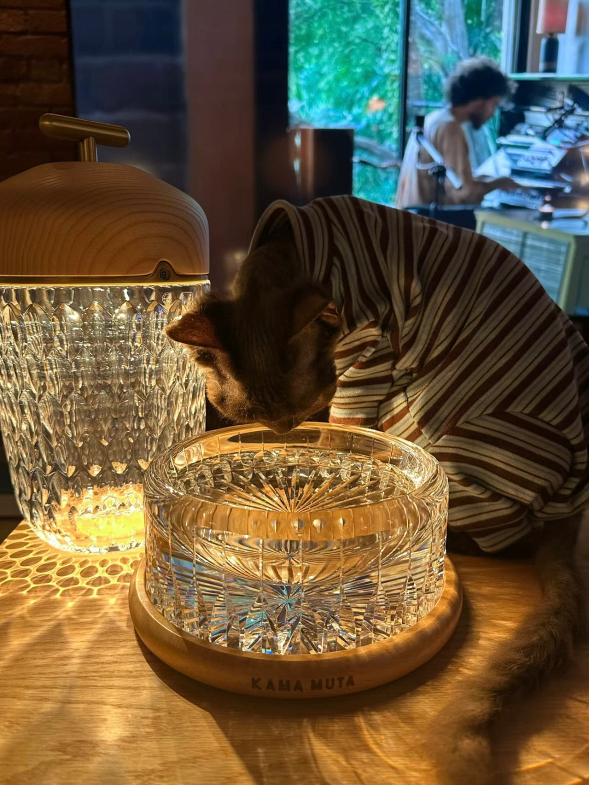 Handcrafted Crystal Pet Bowl-Starlight KamaMuta Handcrafted Crystal Pet Bowl-Starlight KamaMuta