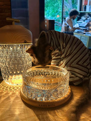 Handcrafted Crystal Pet Bowl-Starlight KamaMuta