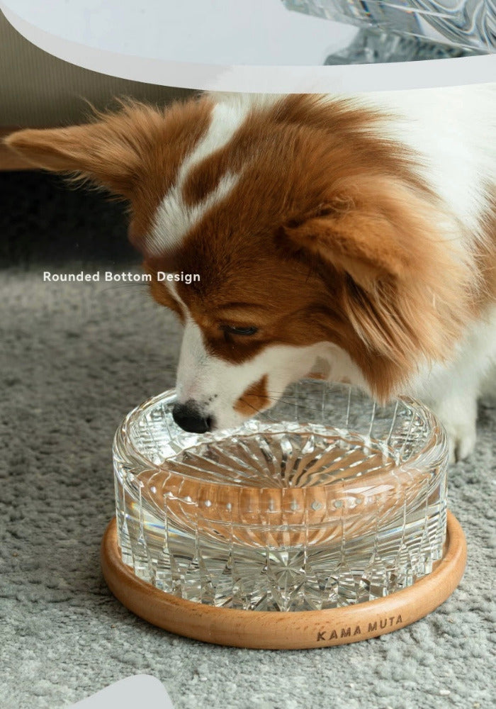 Handcrafted Crystal Pet Bowl-Starlight KamaMuta