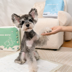 KAMA MUTA Natural Fragrance Dog Pee Pads – Baby-Grade, Leak-Proof, Fast Absorbing Training Pads for Puppies Kamamuta