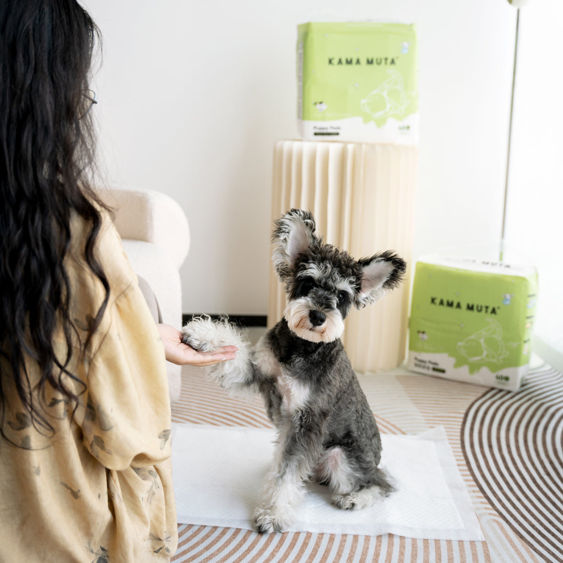 KAMA MUTA Natural Fragrance Dog Pee Pads – Baby-Grade, Leak-Proof, Fast Absorbing Training Pads for Puppies Kamamuta KAMA MUTA Natural Fragrance Dog Pee Pads – Baby-Grade, Leak-Proof, Fast Absorbing Training Pads for Puppies Kamamuta