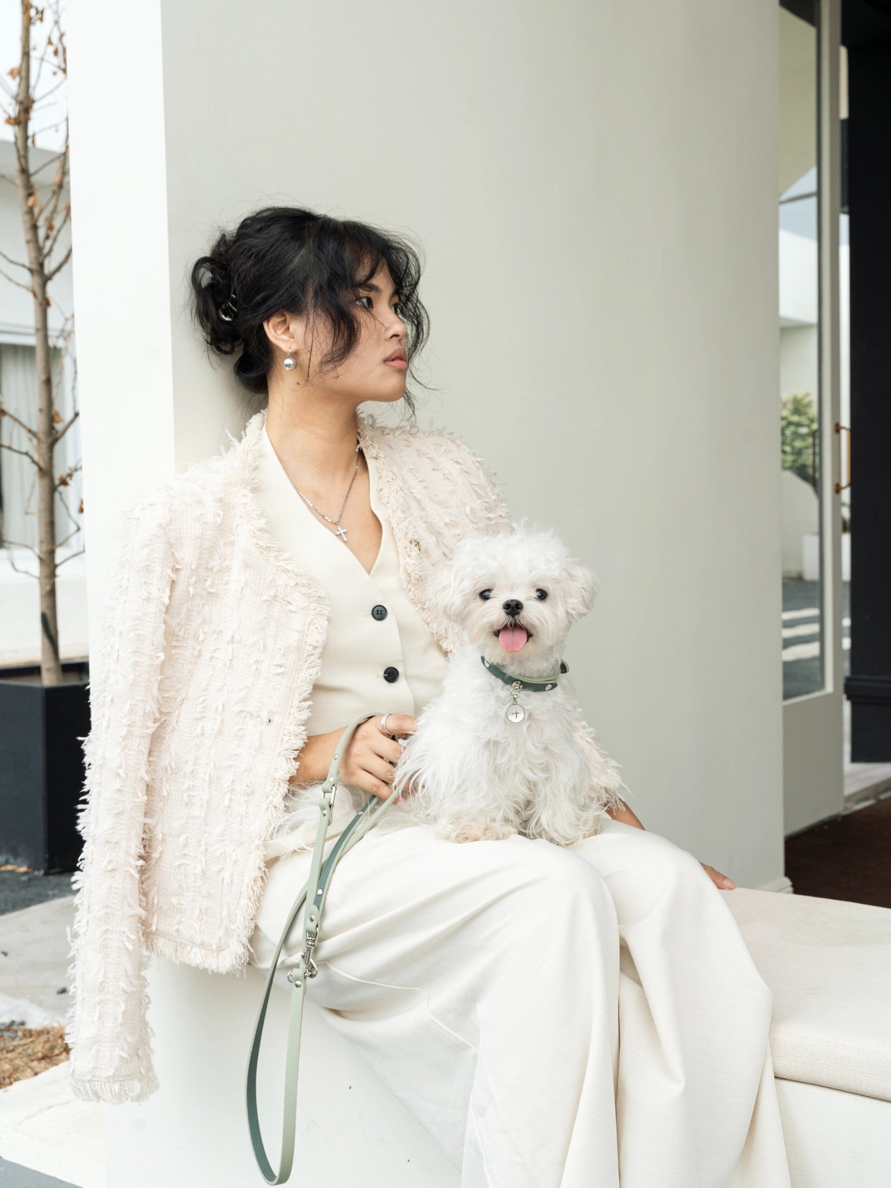 fashion-woman-sitting-on-outdoor-seat-with-white-background-holding-maltese-dog-wearing-kamamuta-leather-collar-and-leash fashion-woman-sitting-on-outdoor-seat-with-white-background-holding-maltese-dog-wearing-kamamuta-leather-collar-and-leash