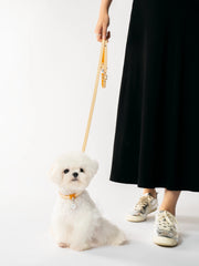 person-walking-white-small-dog-with-kamamuta-mingsha-yellow-collar-and-leash-set