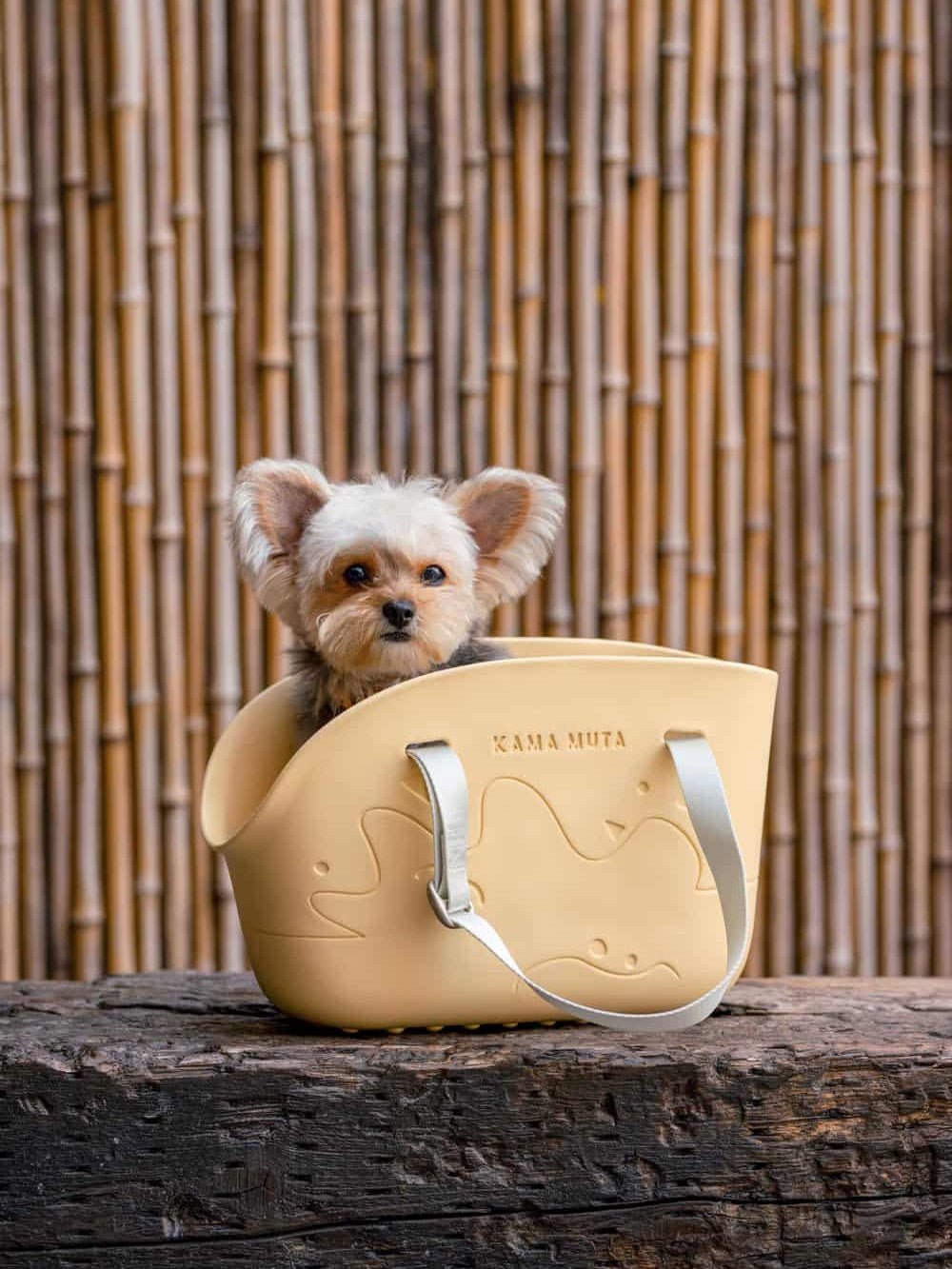 a-yorkshire-dog-sitting-in-kamamuta-mingsha-yellow-mini-pet-tote-bag-carrier-on-seat