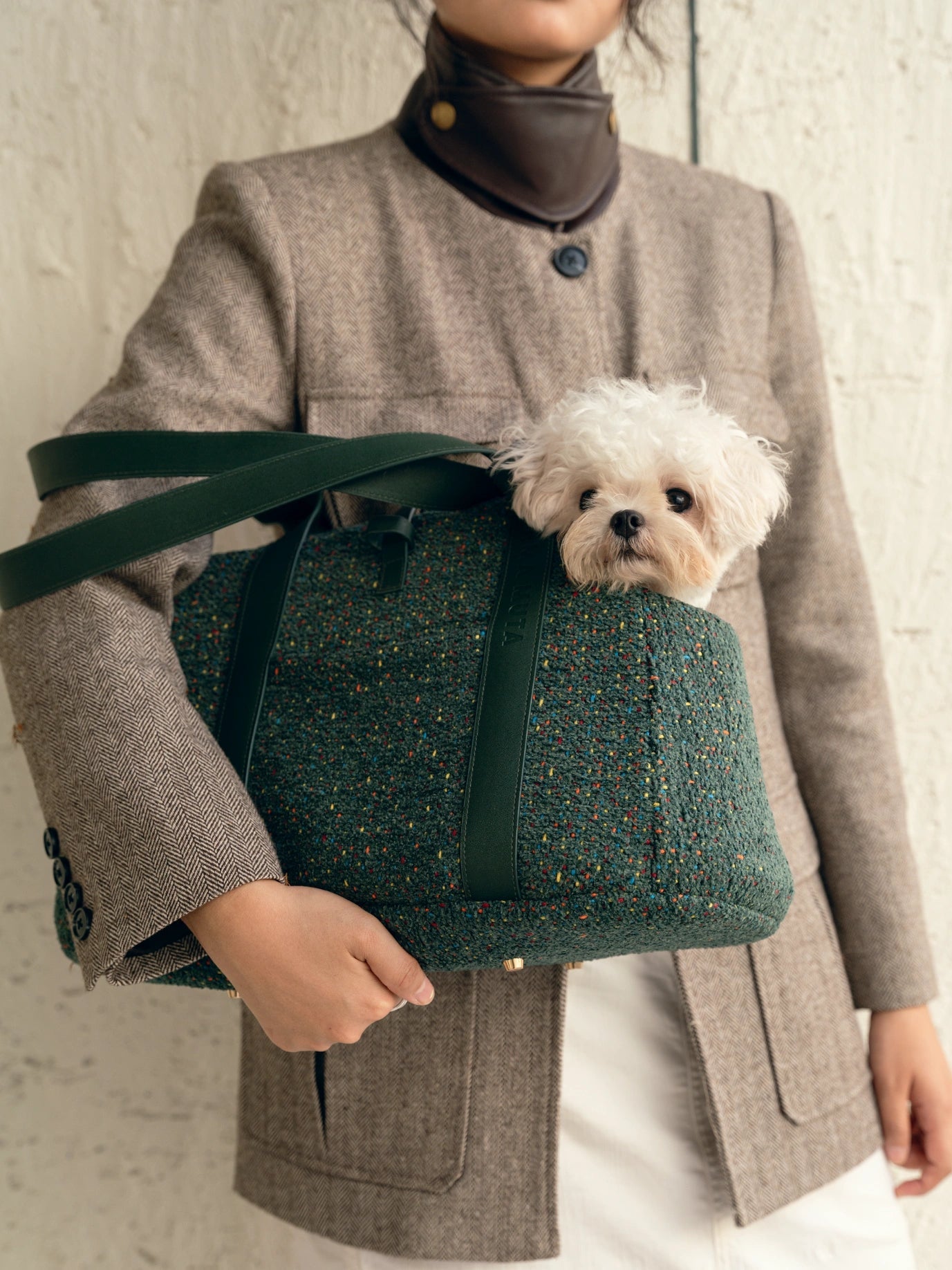 woman-holding-kamamuta-medog-green-mini-tweed-tote-bag-with-white-small-dog-inside-looking-forward woman-holding-kamamuta-medog-green-mini-tweed-tote-bag-with-white-small-dog-inside-looking-forward