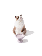 cat-sitting-on-floor-looking-up-with-kamamuta-mushroom-bowl-in-front