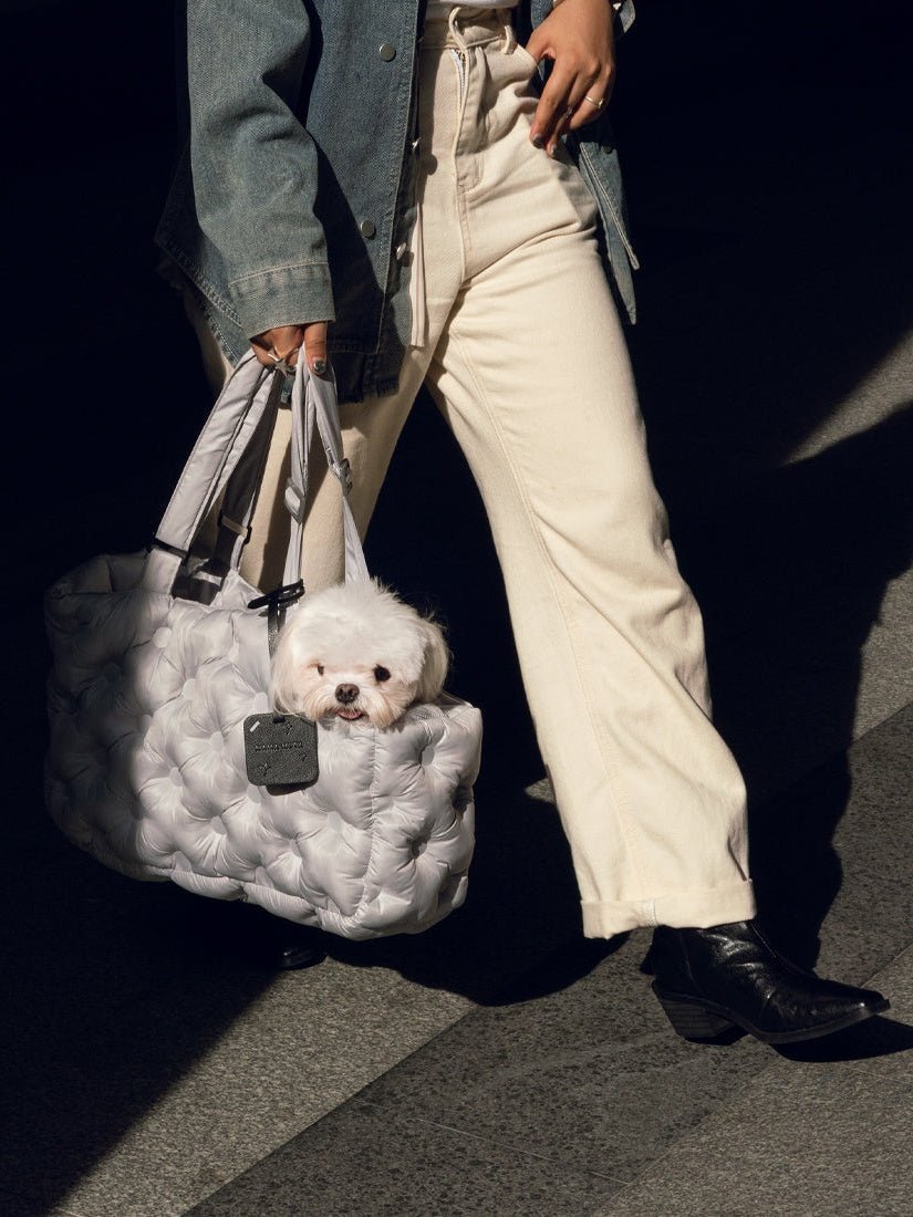 person-walking-on-road-holding-kamamuta-airy-pet-bag-with-white-dog-peeking-head-out