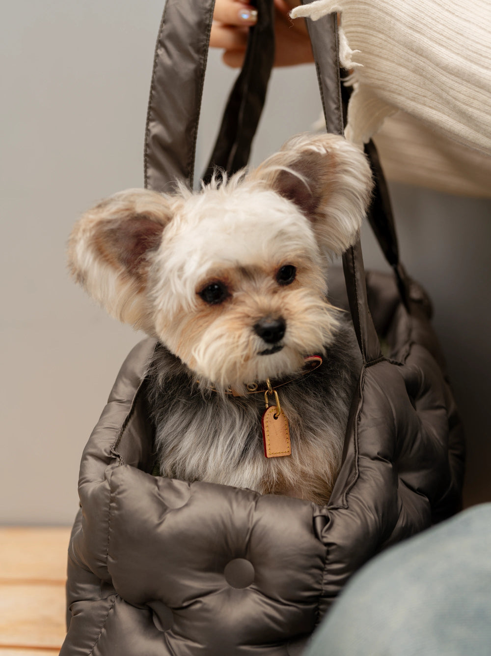 close-up-yorkshire-terrier-sitting-inside-brown-kamamuta-airy-pet-bag