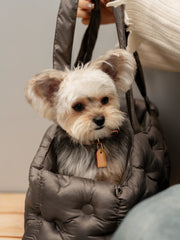 close-up-yorkshire-terrier-sitting-inside-brown-kamamuta-airy-pet-bag