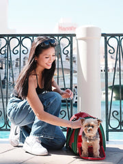 smiling-woman-petting-yorkshire-terrier-walking-out-from-kamamuta-boston-pet-bag
