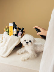 Pet Hydrosol Daily Pet Care