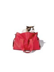 ragdoll-cat-peeking-head-out-from-red-kamamuta-pet-shadow-square-bag