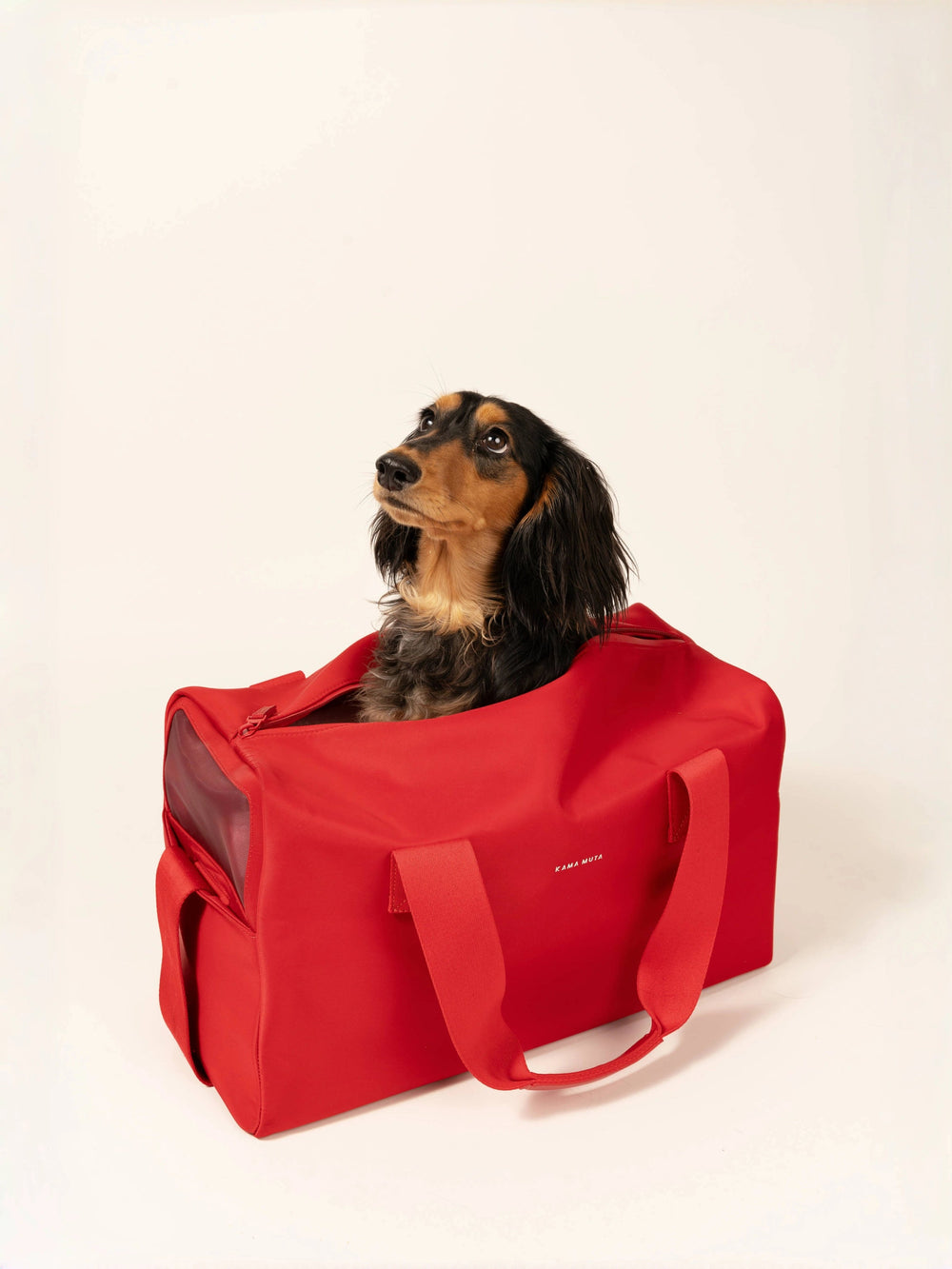 red-kamamuta-pet-shadow-stealth-whisper-carier-bag-on-floor-with-dachshund-sitting-inside-peeking-head-out