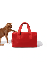 abyssinian-cat-left-paw-resting-on-red-kamamuta-pet-shadow-stealth-whisper-square-bag-carrier