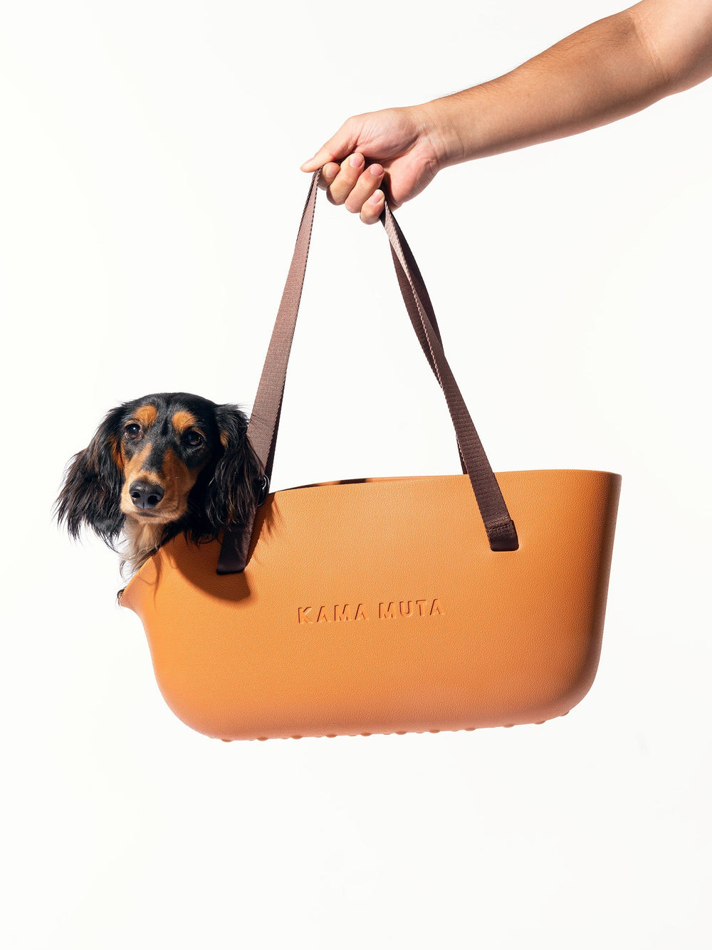 hand-holding-zanda-yellow-kamamuta-pet-tote-bag-with-dachshund-inside-looking-at-camera