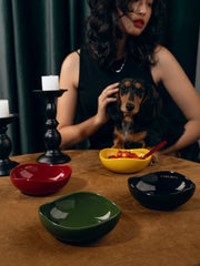 woman-sitting-at-table-holding-dachshund-with-red-green-black-yellow-kamamuta-pet-pod-bowls-on-table