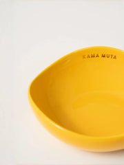 close-up-yellow-kamamuta-pet-pod-bowl