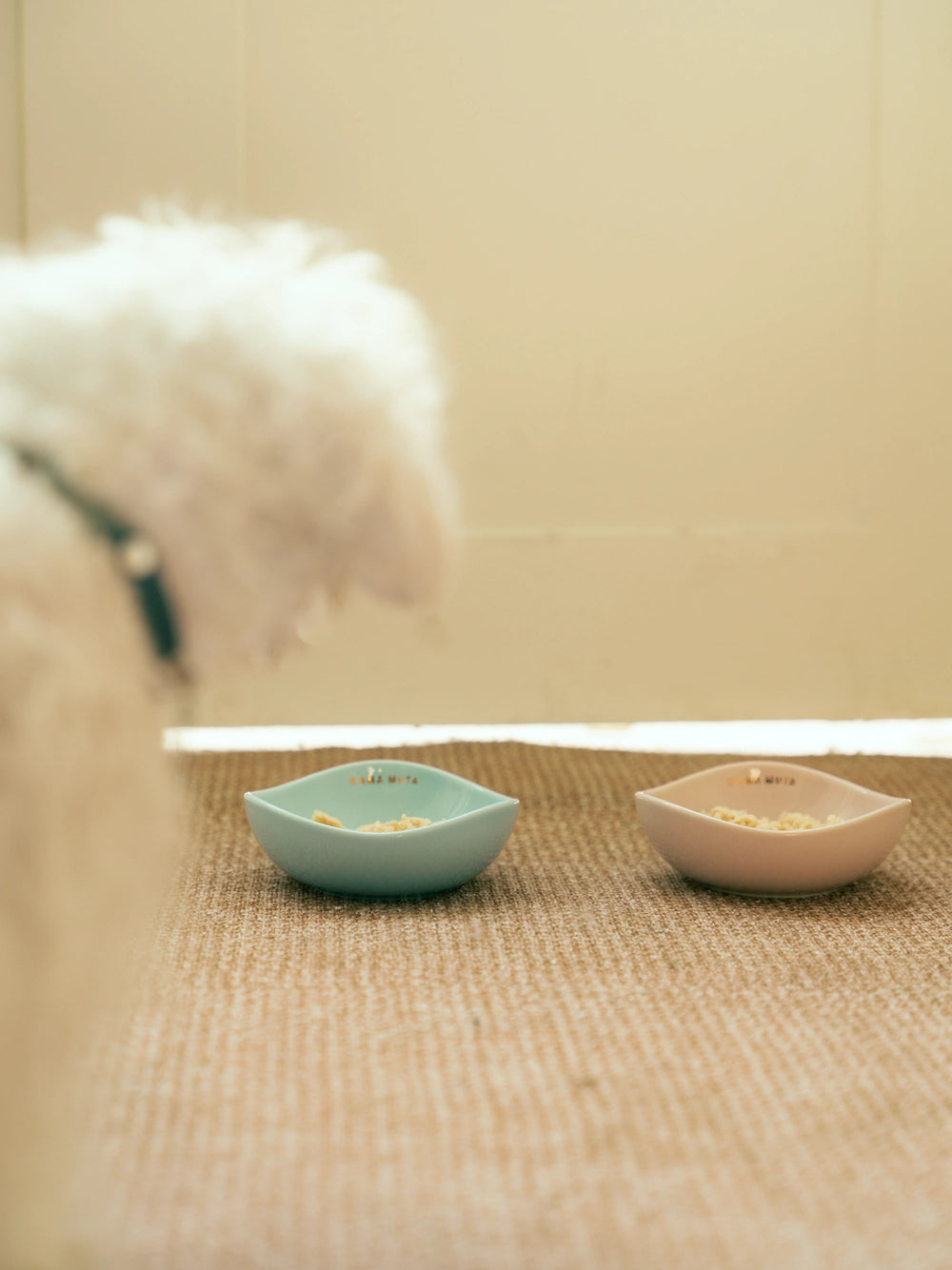 white-dog-looking-at-green-and-pink-kamamuta-pet-pod-bowls-filled-with-food