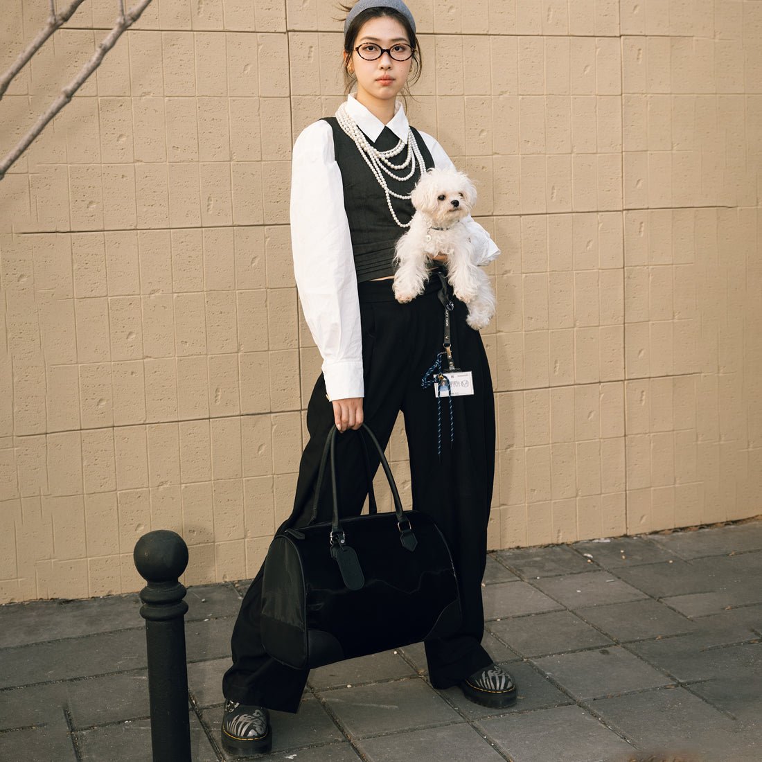 港鐵「貓狗同行」5月起！輕鐵$100任坐｜推薦最佳手提寵物包出行神器