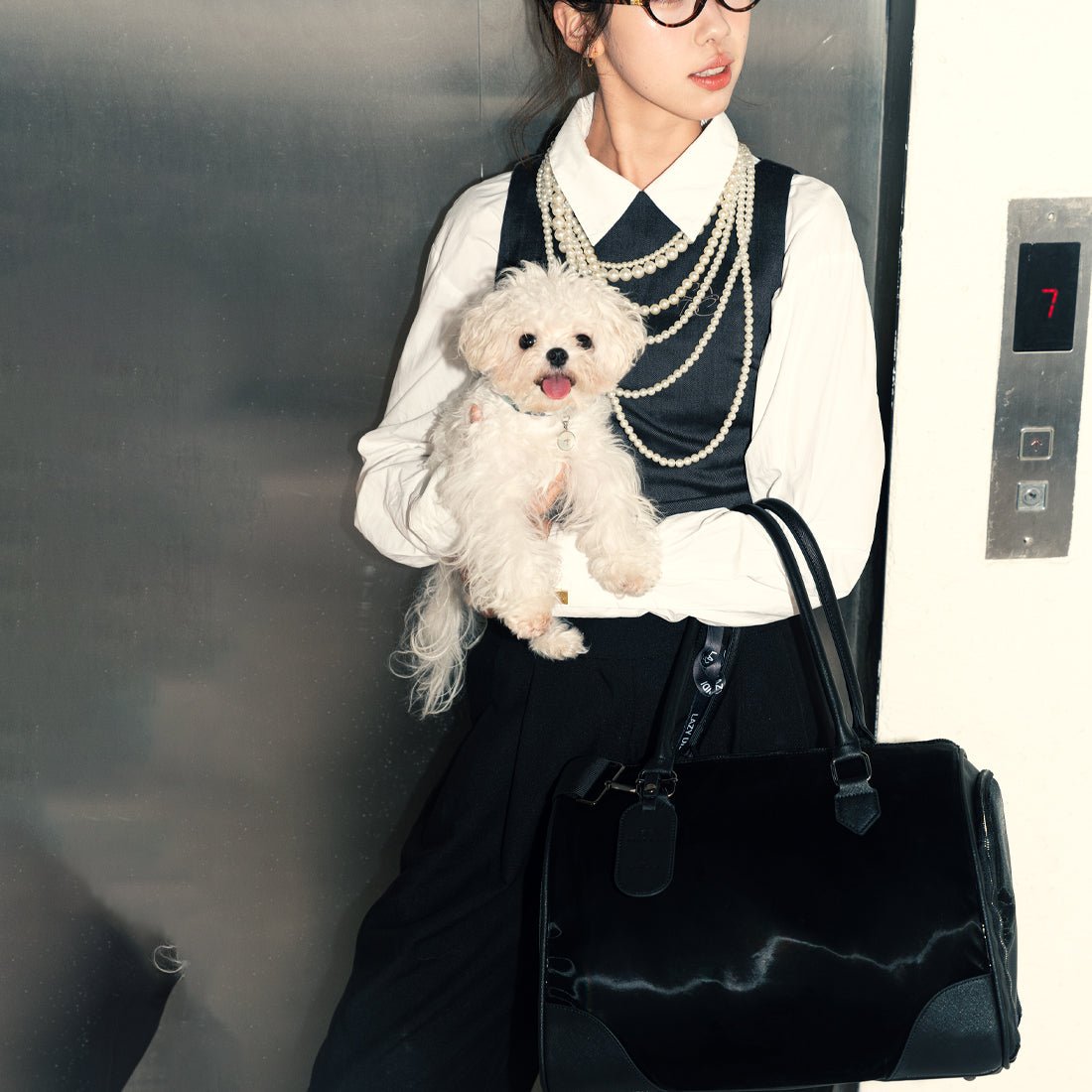 Bring Your Pets on Hong Kong MTR: New "Pet-Friendly Travel" Policy + Best Pet Carrier Tips