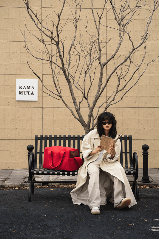 Fashion Pet Bag: The Stylish Way to Carry Your Pet in Comfort and Class