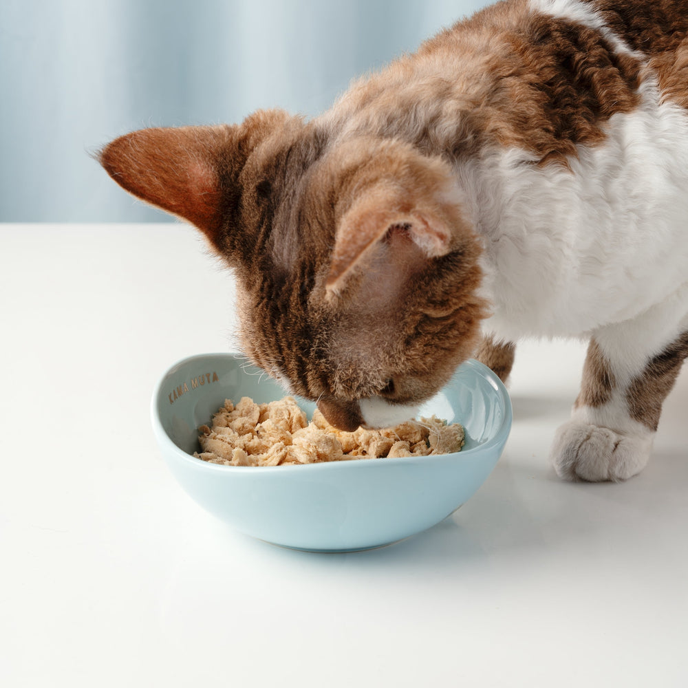 Handmade Ceramic Pet Bowl: Safe, Stylish & Sustainable