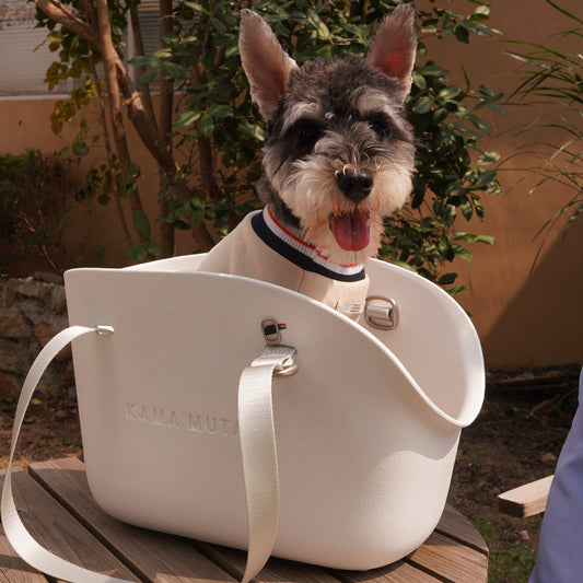 HK Exclusive: The Plus Tote Bag For Dachshunds – Spacious, Washable, And Adventure-Ready!