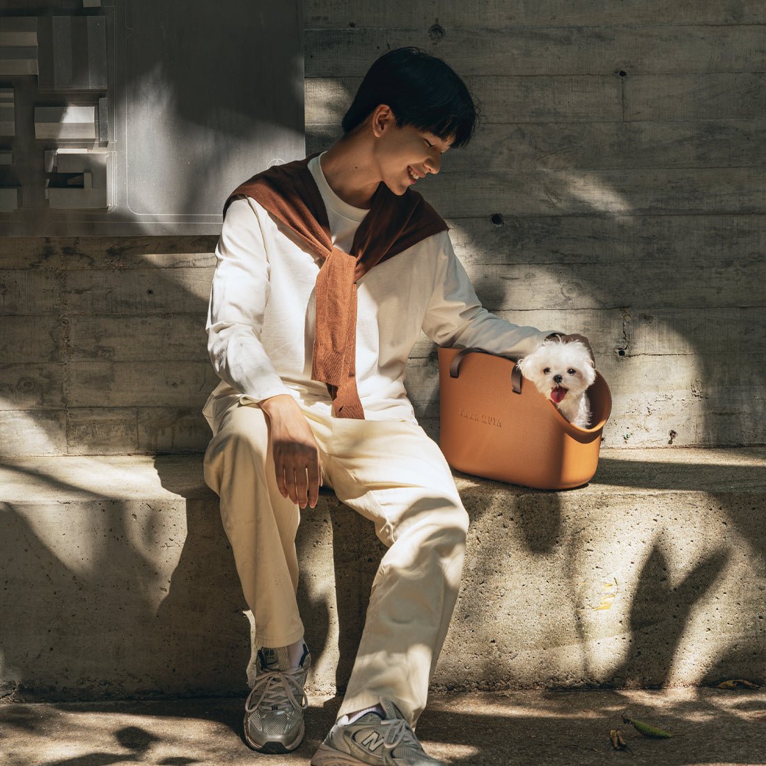 Hong Kong’s MTR Considers Pets on Trains: “Bag Rule” Gains Support, Odor Concerns Remain