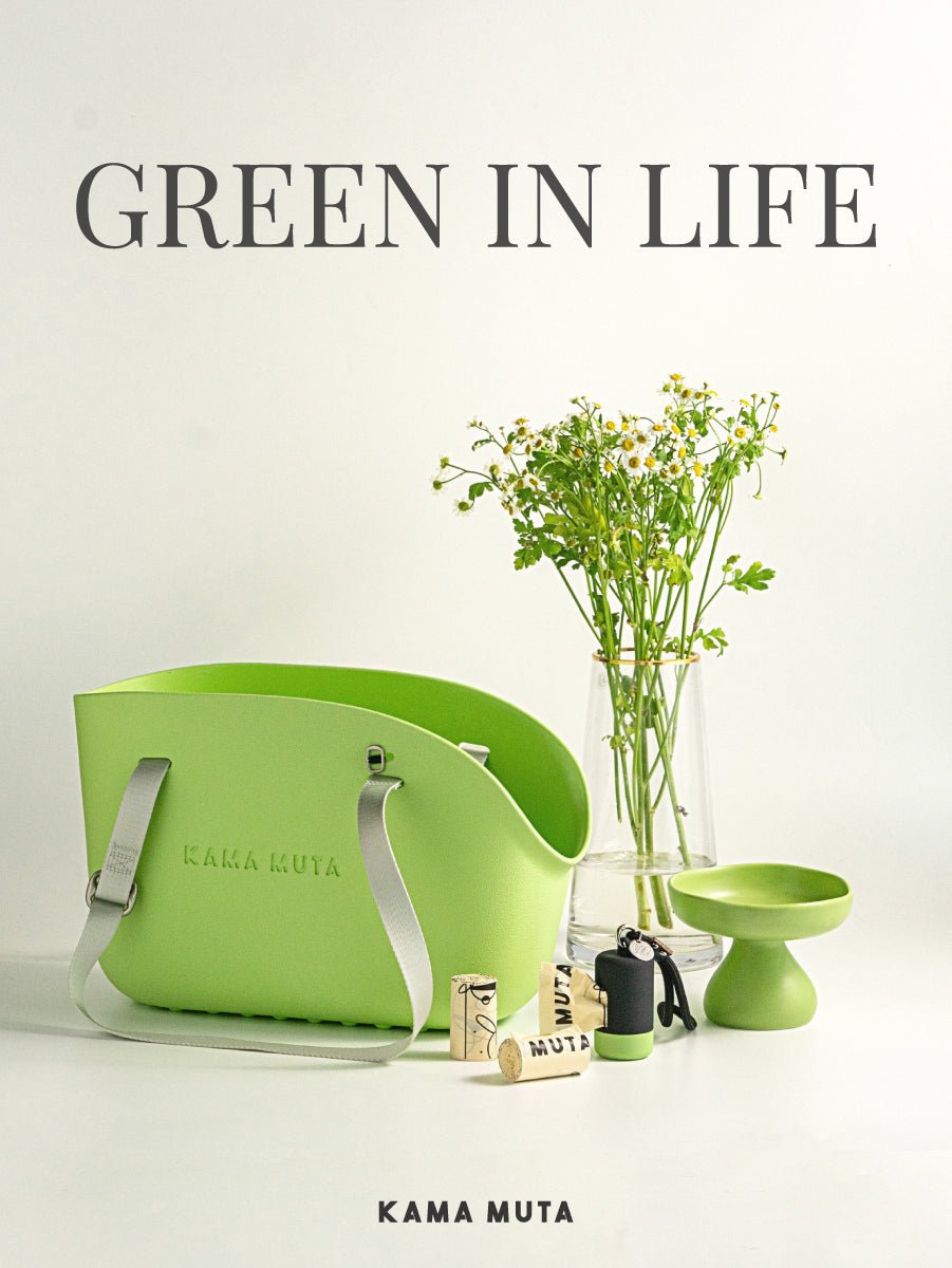 How to Choose a Small Dog or Cat Carrier for Daily Walks in Hong Kong