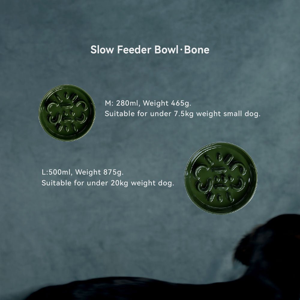 為什麼香港和亞洲的小型犬從幼犬到老年犬都需要一個陶瓷慢食碗？