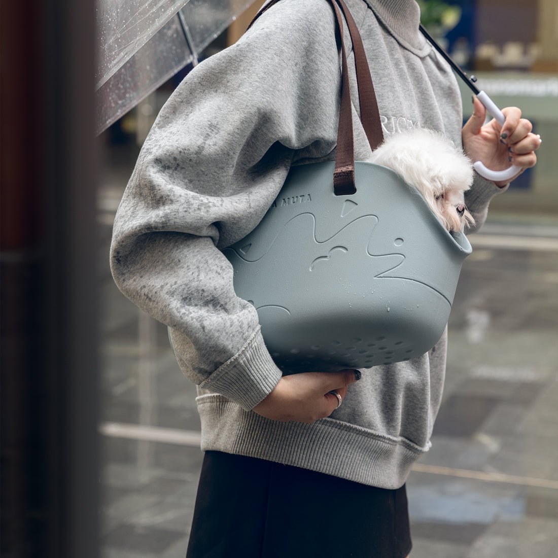 Mini Pet Carrier: Capture The Sunny Days With Your Bunny In Style
