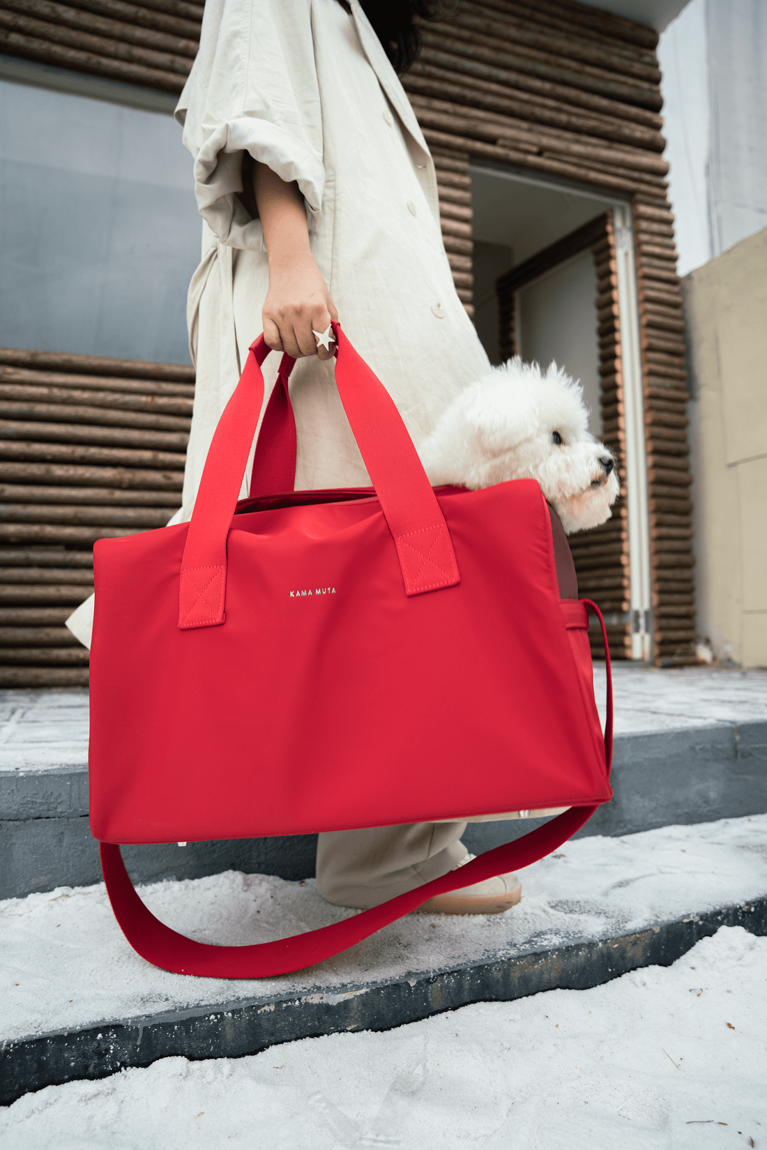 Pet Carrier Bag | A Stylish Travel Experience In Blue And Green