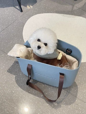 Puppy Mini Fur Baby Furry Friend Essential Outing