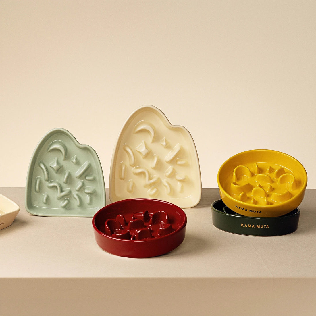 Why Use a Slow Feeder Dog Bowl? Pros & Cons Explained