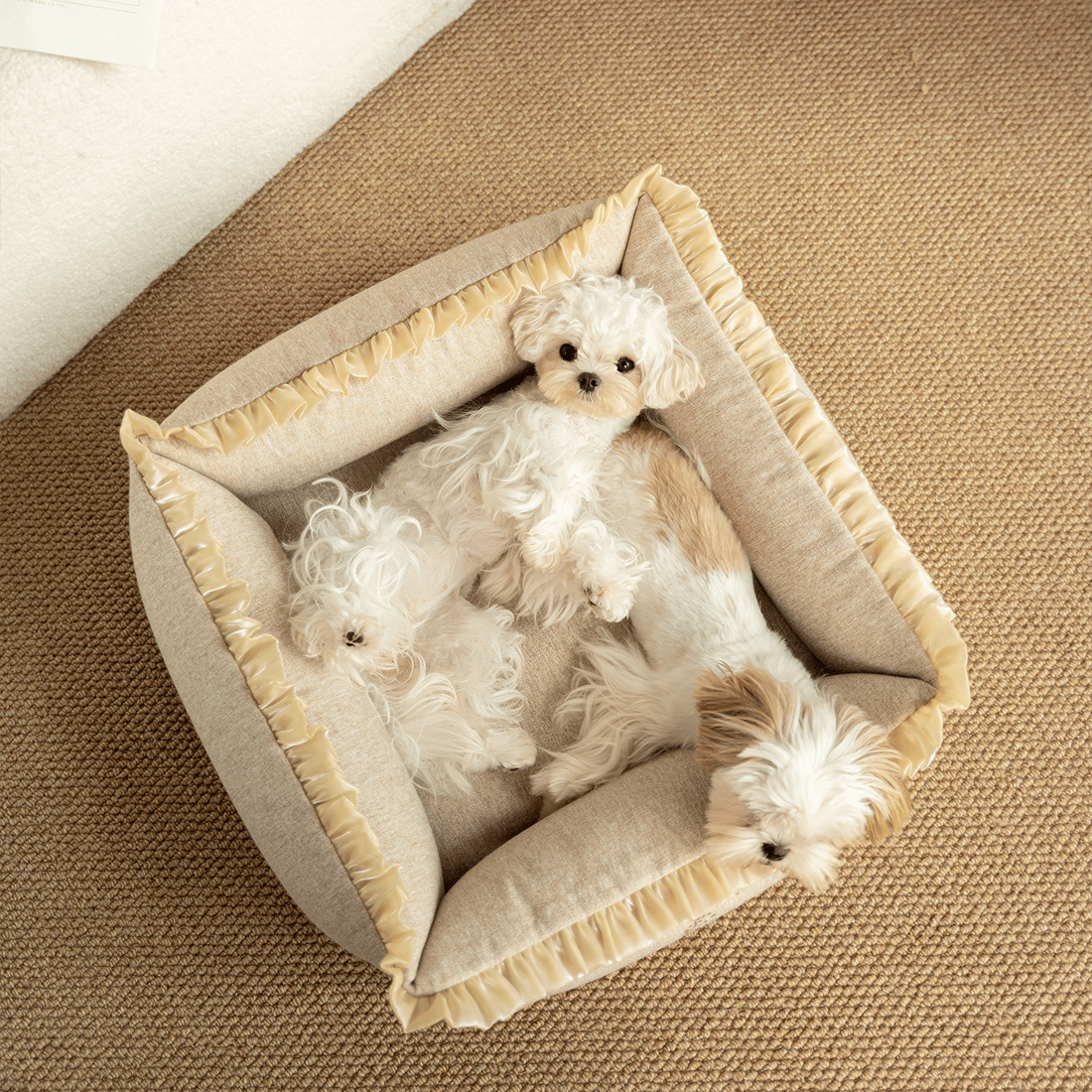 The Ultimate Air Bed: Adjustable Comfort, Effortless Setup, and Superior Support