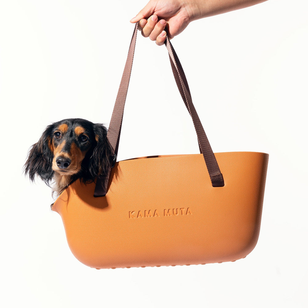 Pet Tote Bag Pet Carrier Lightweight Everyday KamaMuta